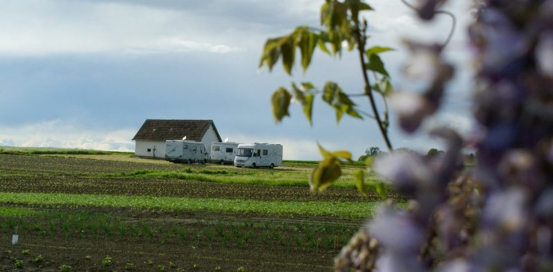 Stellplatz beim alten Presshaus mit Camper