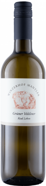 Grüner Veltliner Ried Leben Flasche